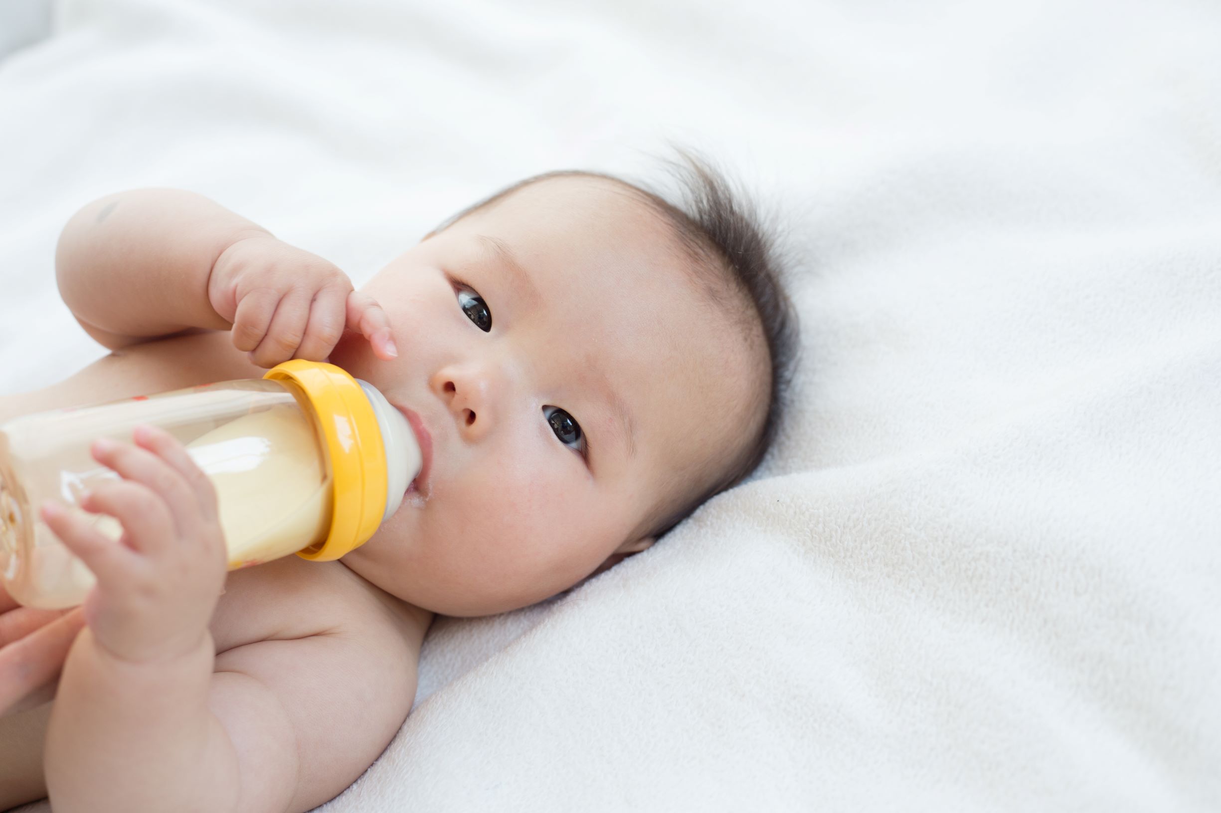 Infant Formula Feeding, Nutrition